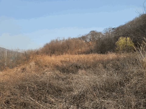 물건 사진 12