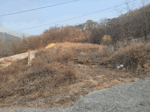 물건 사진 15