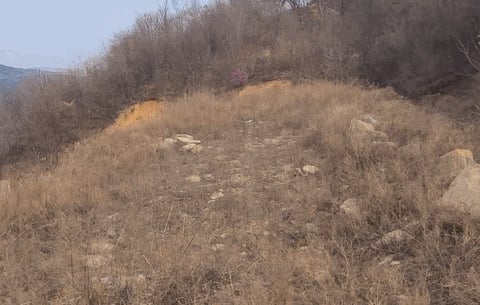 물건 사진 16