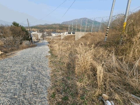 물건 사진 18