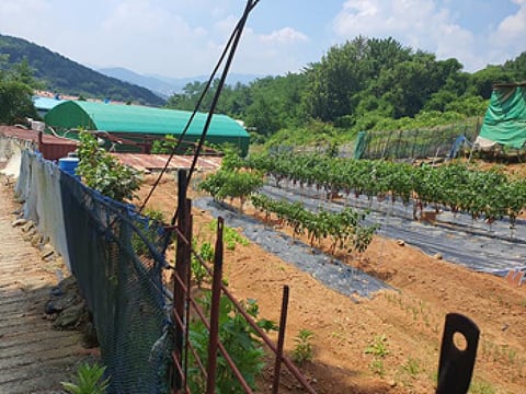 물건 사진 2