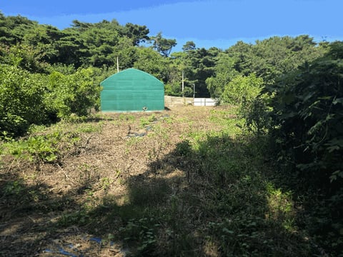 물건 사진 10