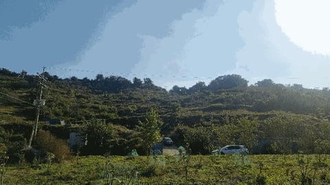 물건 사진 2