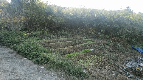 물건 사진 12