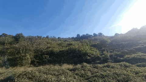 물건 사진 3