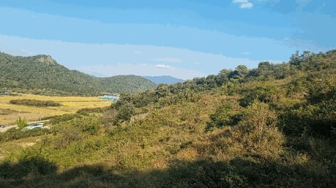 물건 사진 4