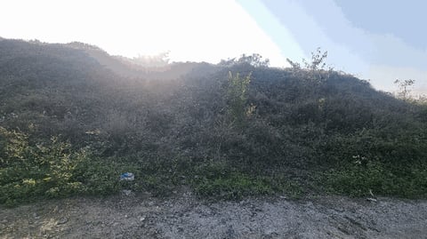 물건 사진 7