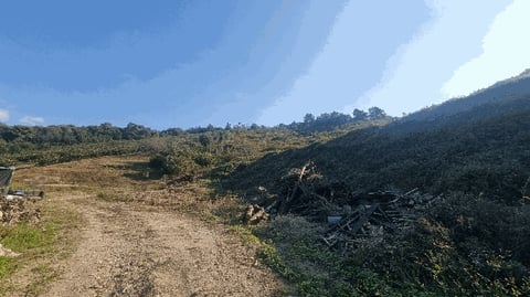 물건 사진 8