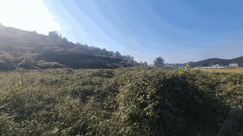 물건 사진 9