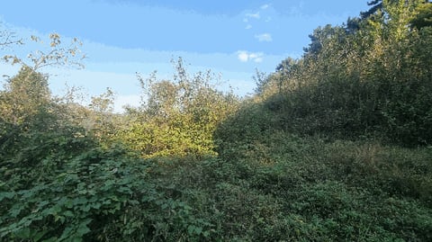 물건 사진 10