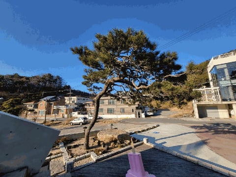 물건 사진 30