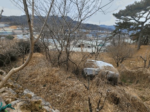 물건 사진 11