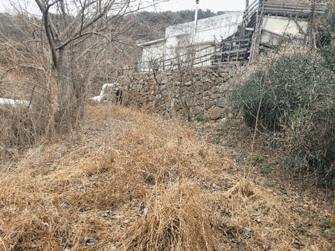 물건 사진 12