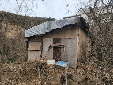 물건 사진 13