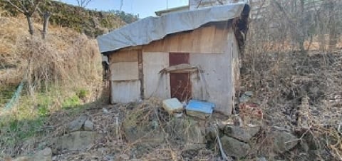 물건 사진 3