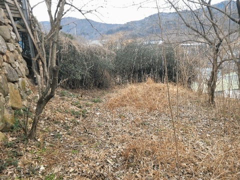물건 사진 8