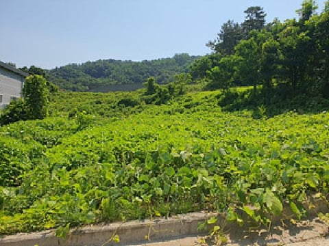 물건 사진 3