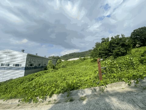 물건 사진 4