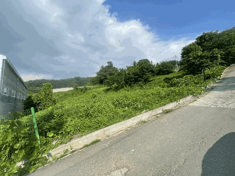 물건 사진 7