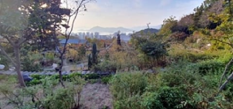 물건 사진 5