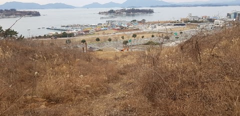 물건 사진 17