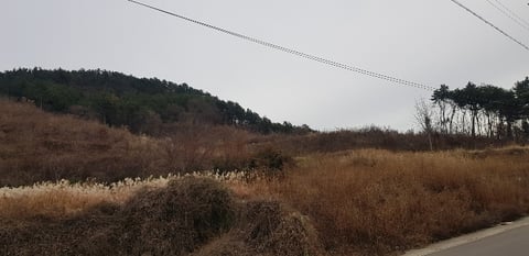물건 사진 18