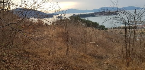 물건 사진 19
