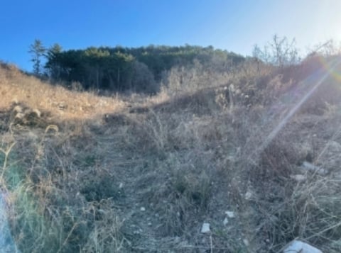 물건 사진 10