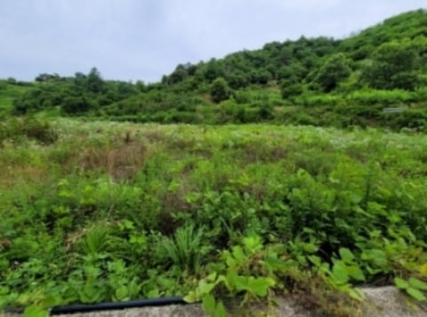 물건 사진 2