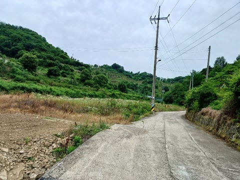 물건 사진 13