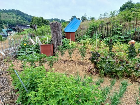 물건 사진 14
