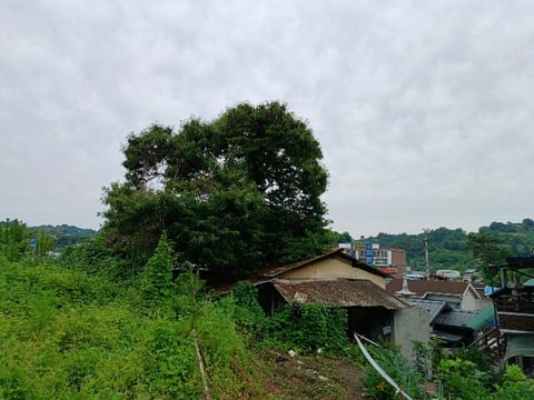 물건 사진 18