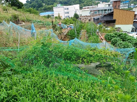 물건 사진 19