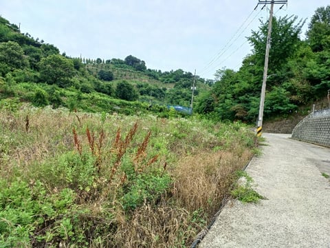 물건 사진 20