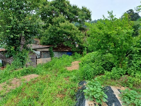 물건 사진 22