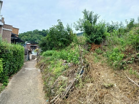 물건 사진 26