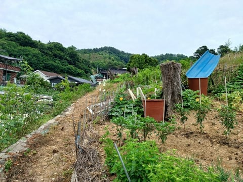 물건 사진 27