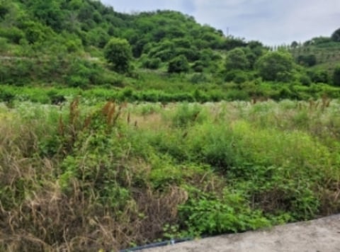 물건 사진 4