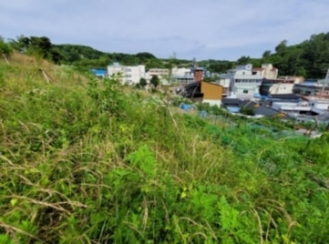 물건 사진 6