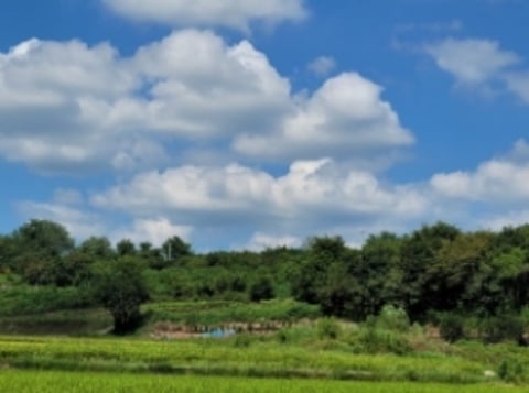 물건 사진 11
