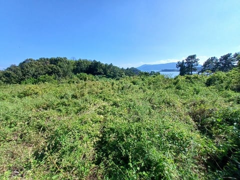물건 사진 21