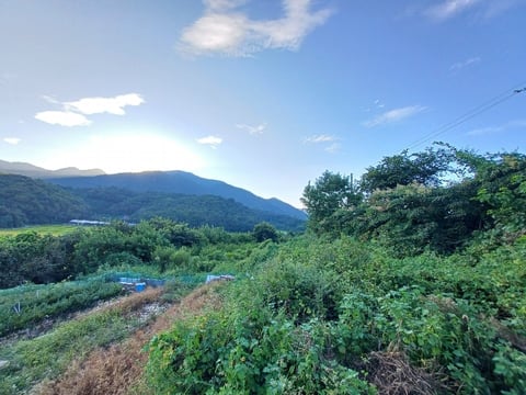 물건 사진 26