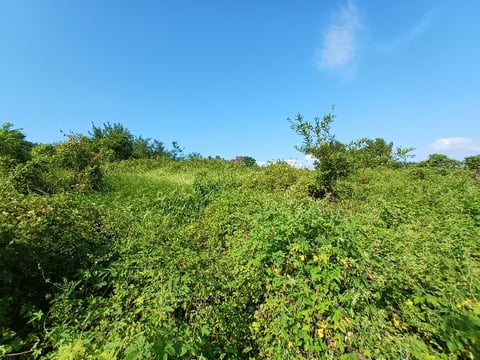 물건 사진 30