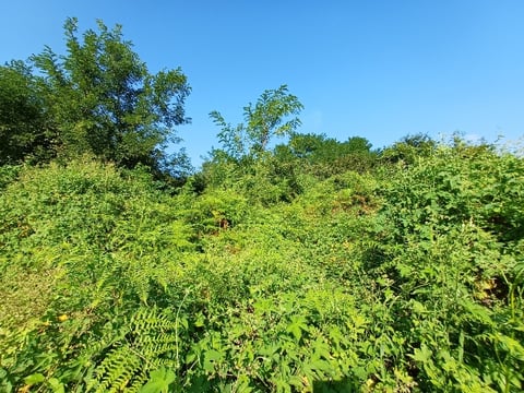 물건 사진 33