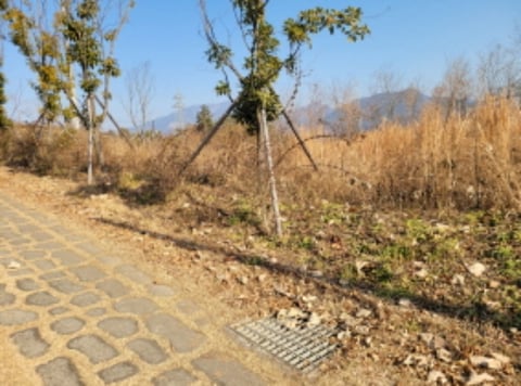 물건 사진 1