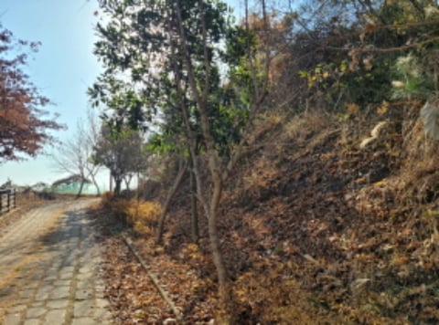 물건 사진 11