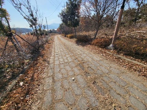 물건 사진 103