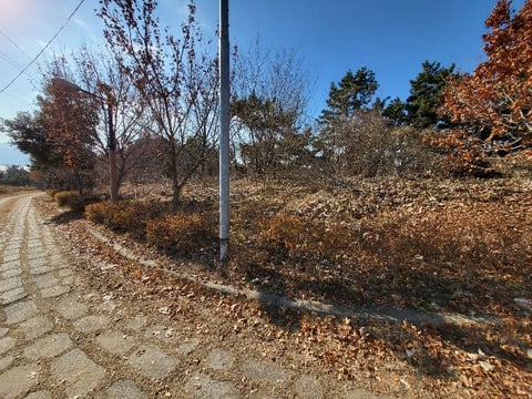 물건 사진 104