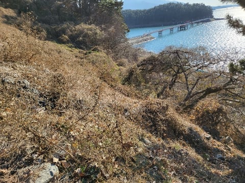 물건 사진 107