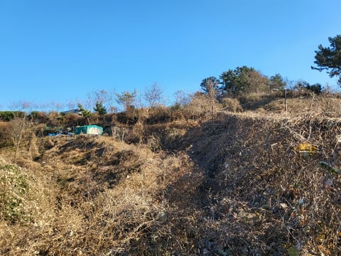 물건 사진 115